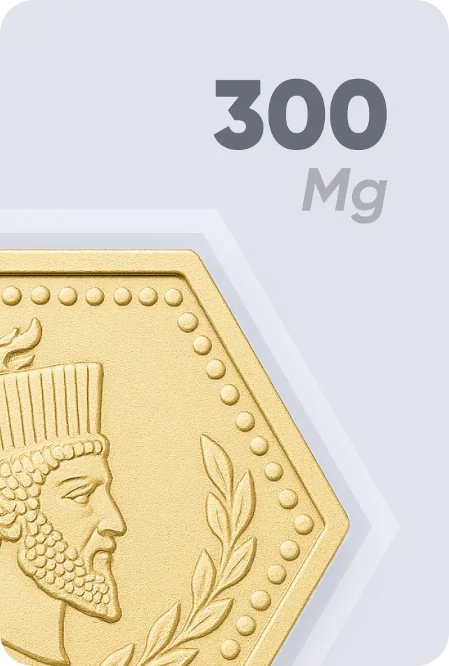 پارسیان زردیس 300 سوتی